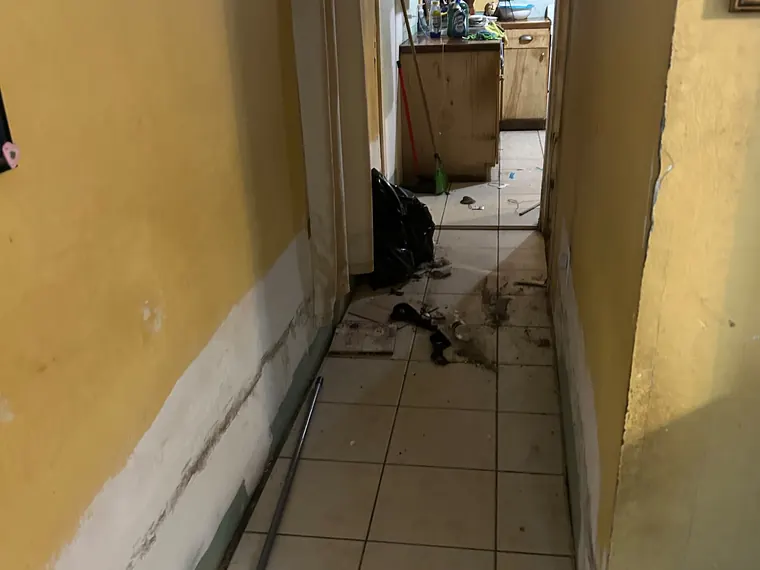 Hallway before cleaning
